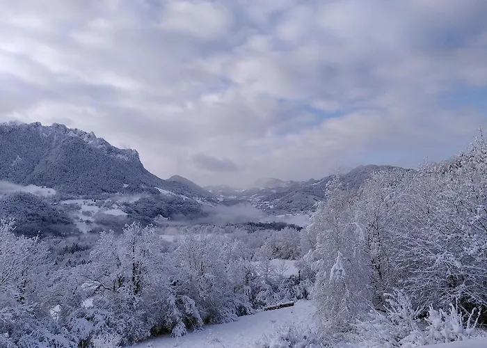 Cocon Des Alpes *
